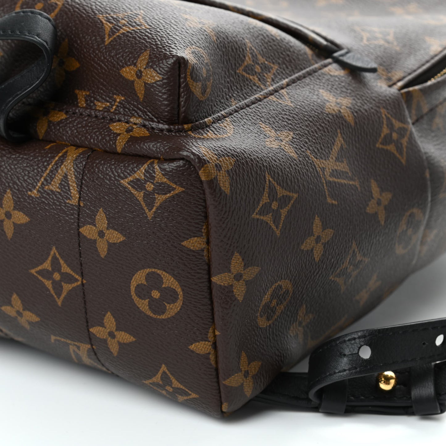 Monogram Palm Springs Backpack PM