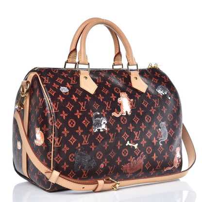 Louis Vuitton Catogram Speedy Bandouliere 30 Marron 3 of 10