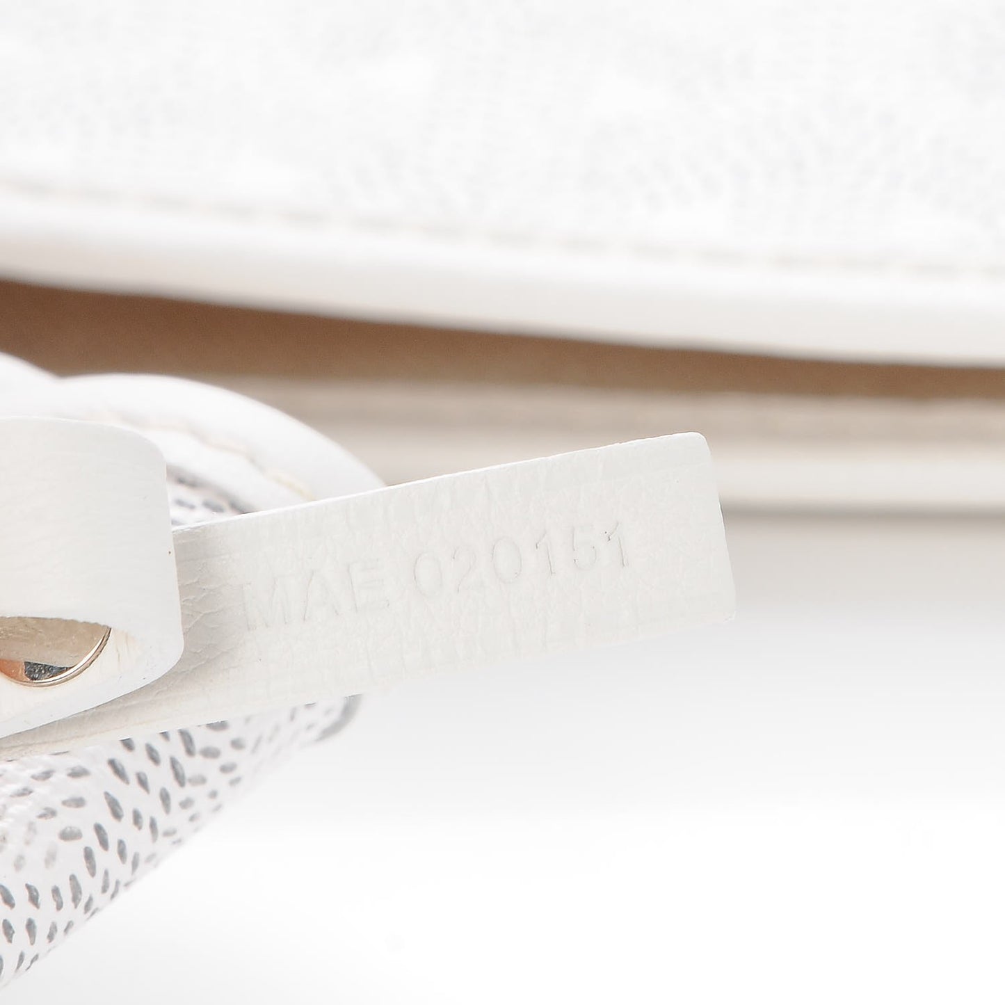 Goyardine Saint Louis PM White