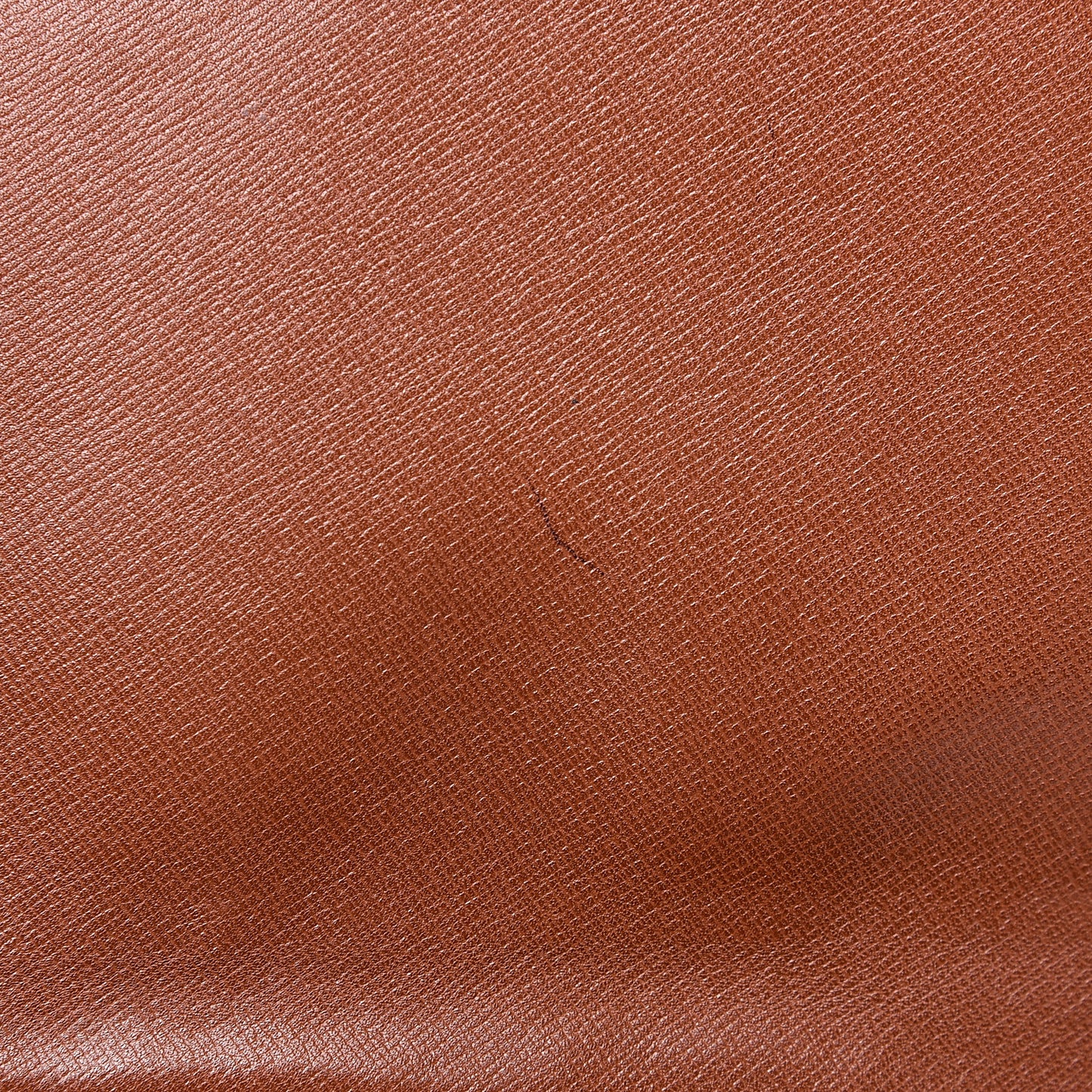 Monogram Pochette Lena