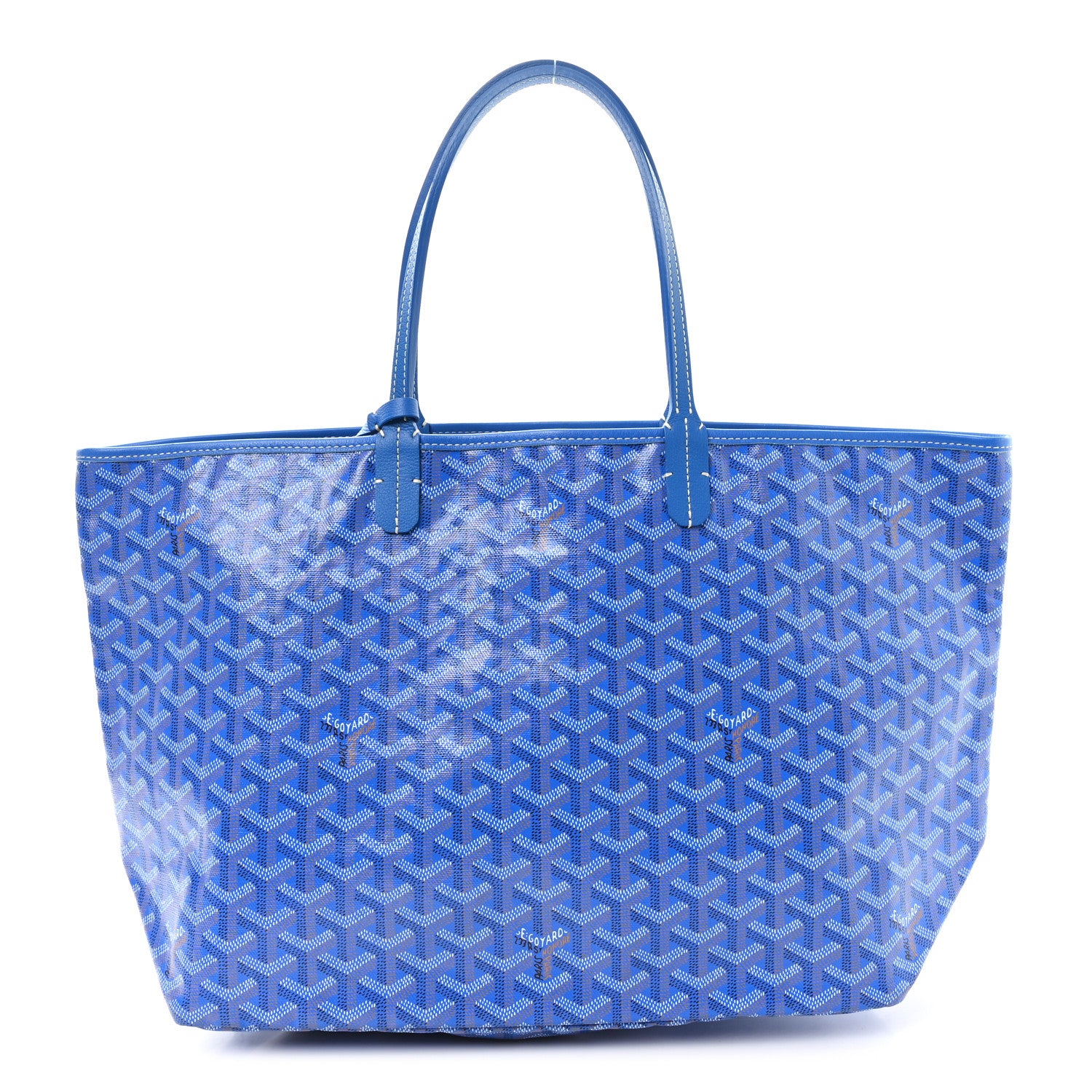 Goyard Goyardine Saint Louis PM Sky Blue 1 of 10