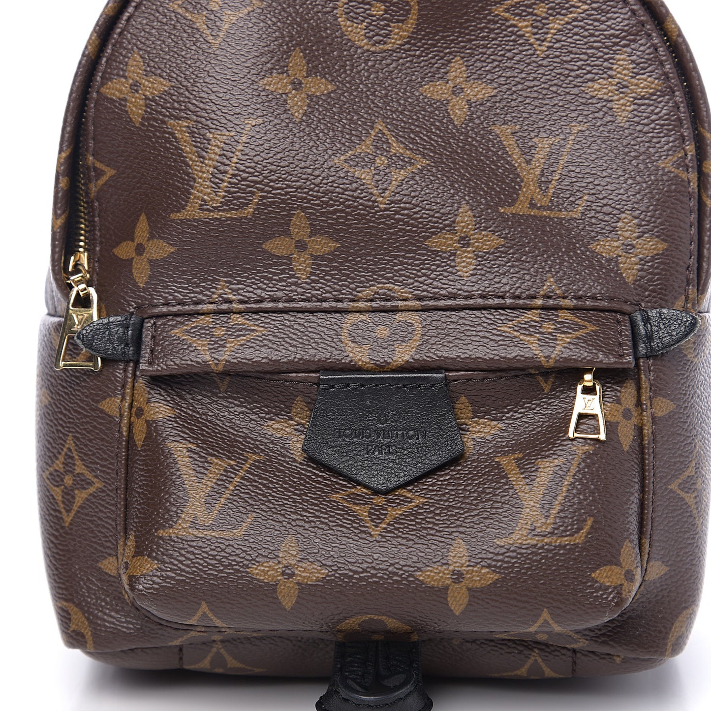 Monogram Palm Springs Backpack Mini