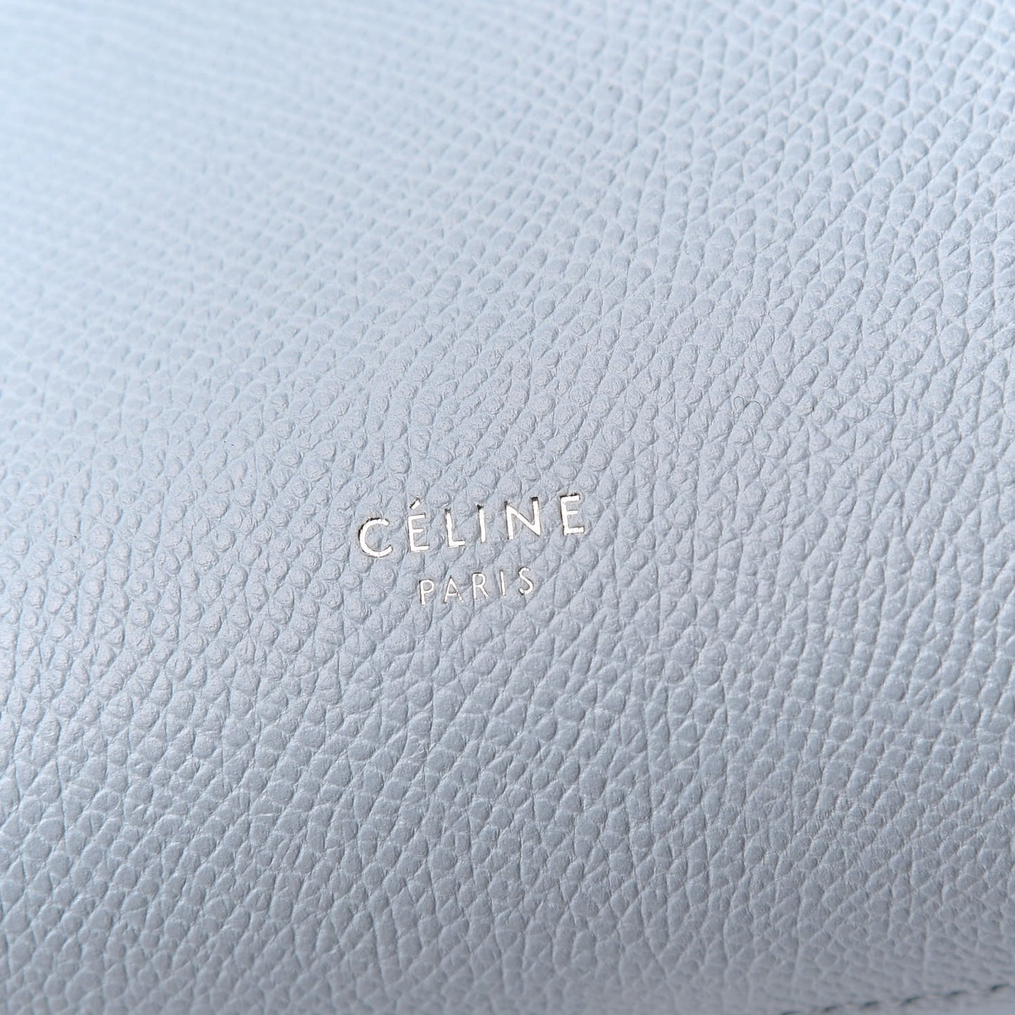 Grained Calfskin Nano Belt Bag Mineral