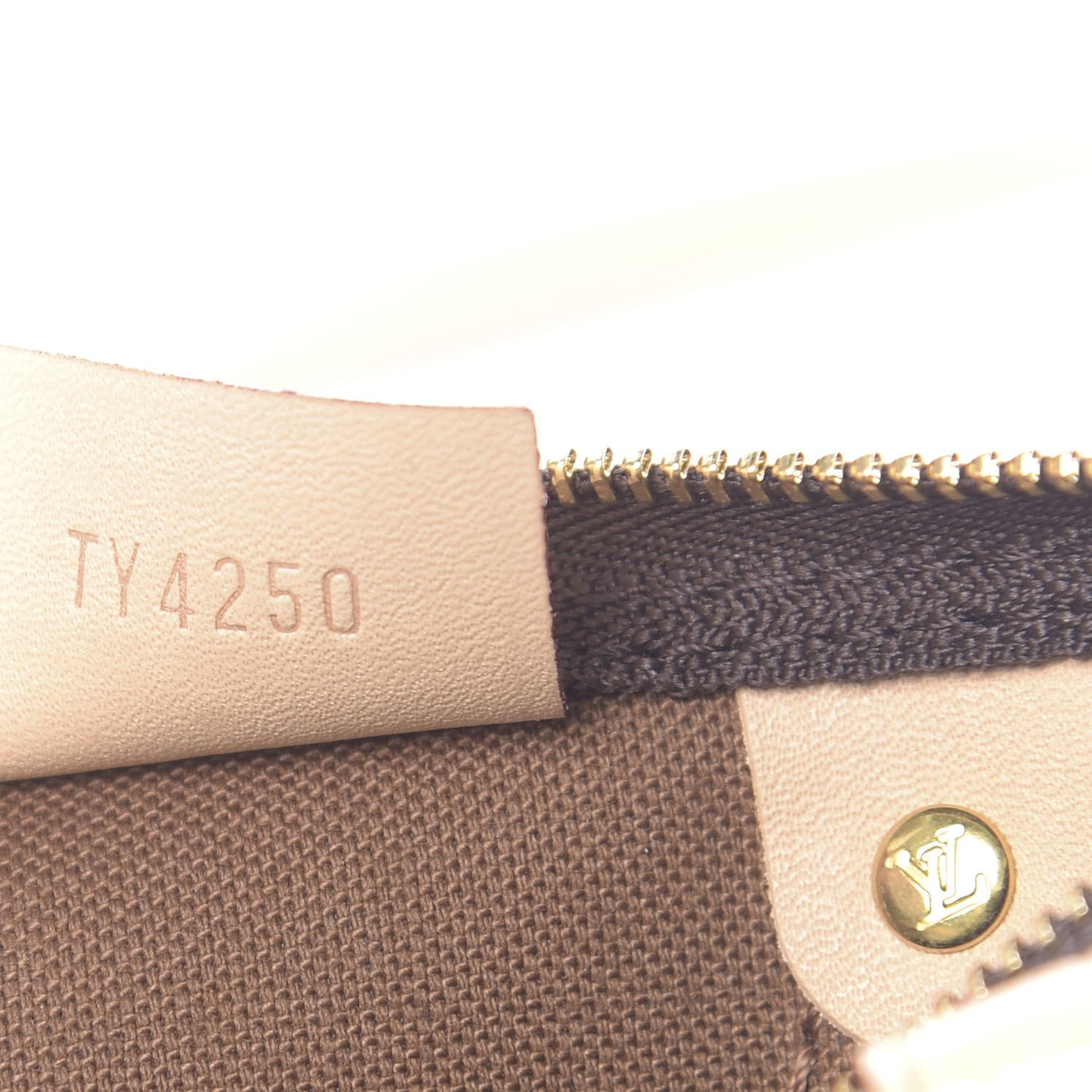Monogram Nano Speedy