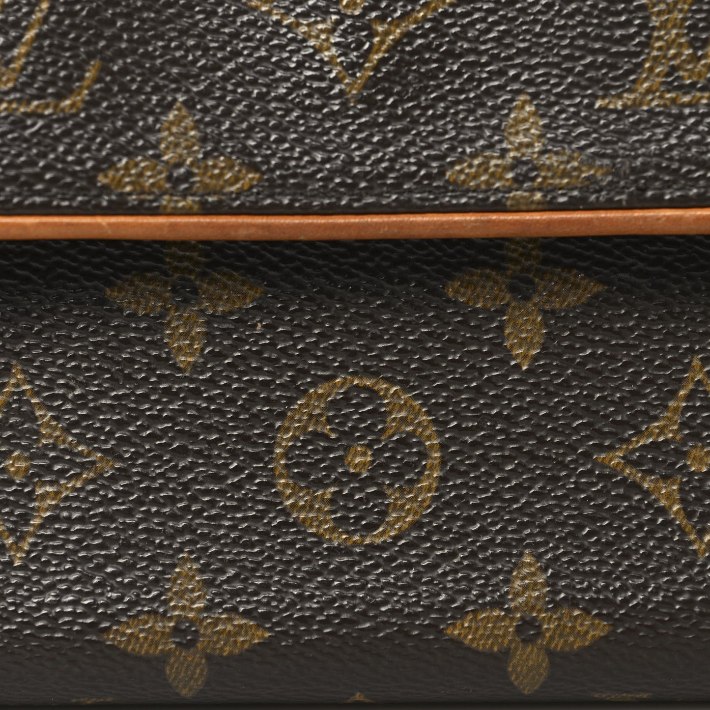 Monogram Pochette Florentine XS