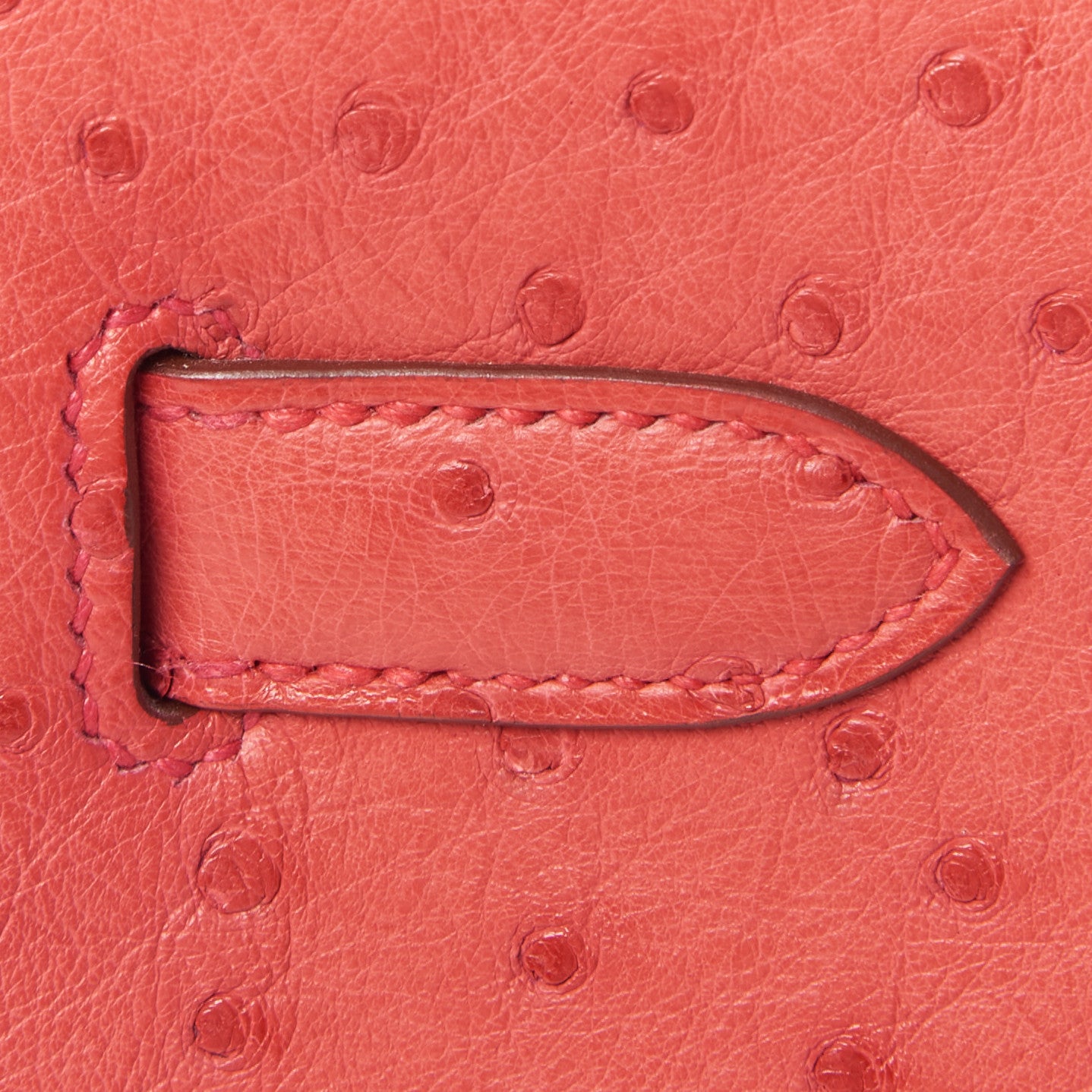 Ostrich Birkin 30 Bougainvillea