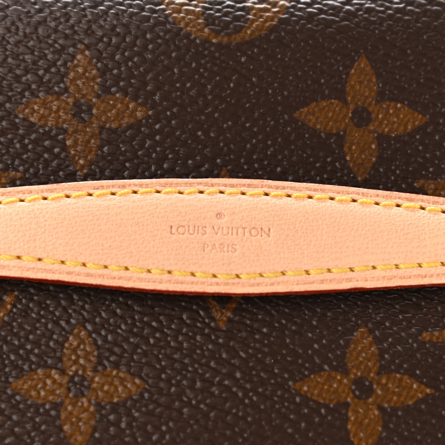 Monogram Nano Nice