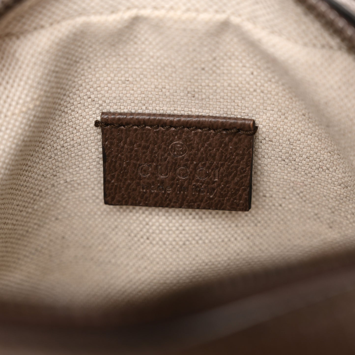 GG Supreme Monogram Web Mini Ophidia Messenger Brown