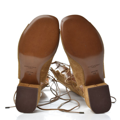 Saint Laurent Suede Babies Knee High Gladiator Sandals 35 Tan 5 of 7