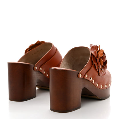 Chanel Calfskin Camellia Clogs 37 Brown 4 of 9