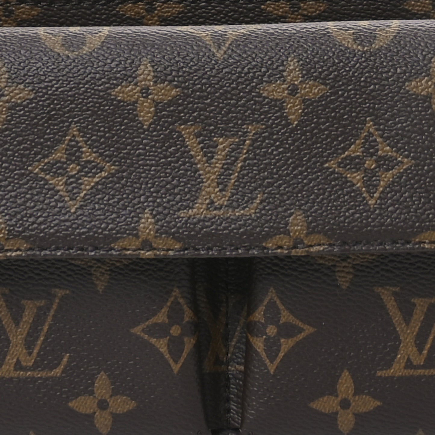 Monogram Vivacite Bag