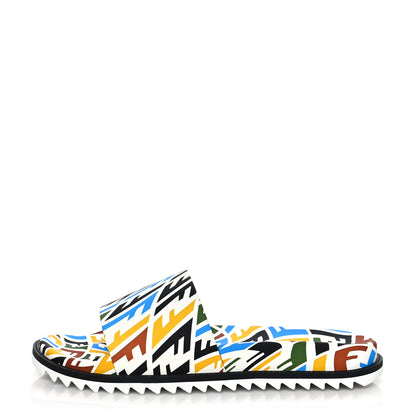 Fendi X SARAH COLEMAN Vitello FF Vertigo Slide Sandals 9 Multicolor 1 of 8