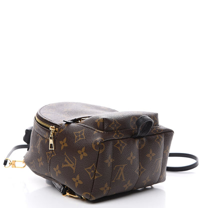 Louis Vuitton Monogram Palm Springs Backpack Mini 3 of 9