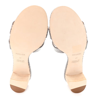 Hermes Lizard Oasis Sandals 40 Ombre 6 of 10