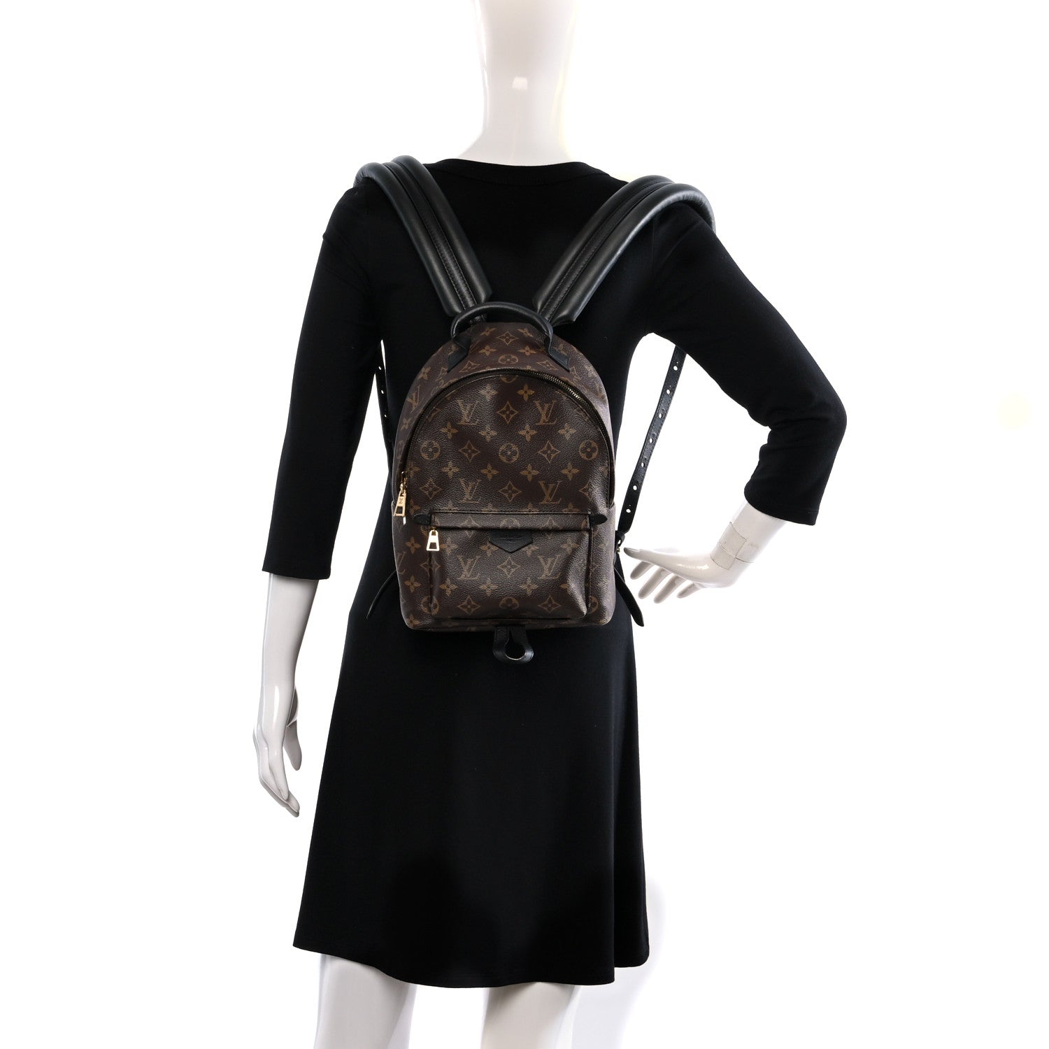Louis Vuitton Monogram Palm Springs Backpack PM 3 of 9