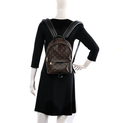 Louis Vuitton Monogram Palm Springs Backpack PM 3 of 9