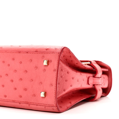 Delvaux Ostrich MM Tempete Satchel Pink 9 of 9