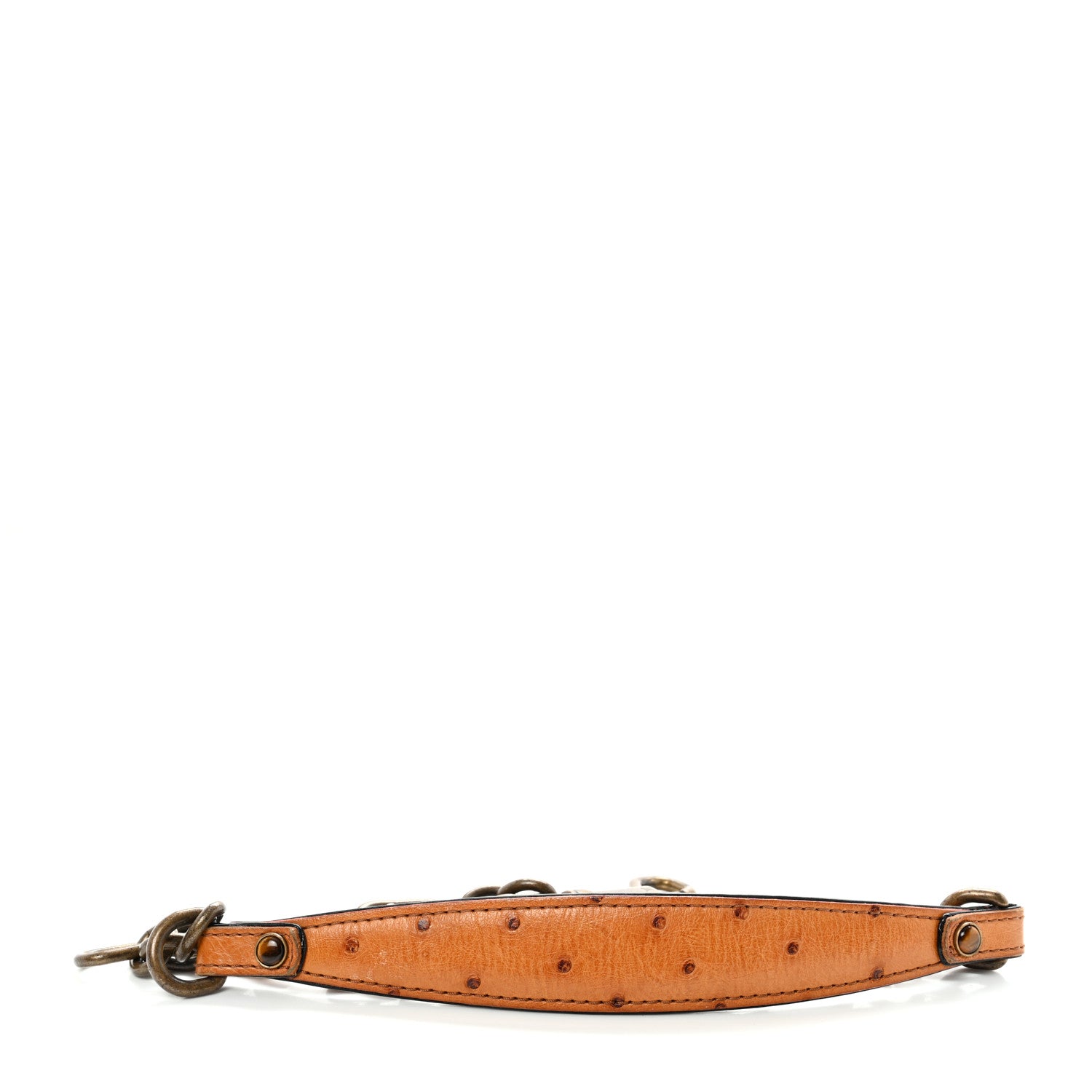 Louis Vuitton Ostrich Oskar Waltz Chain Shoulder Strap 3 of 4
