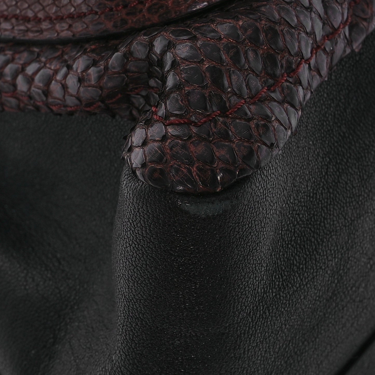 Snakeskin Medium Paraty Gold Berry