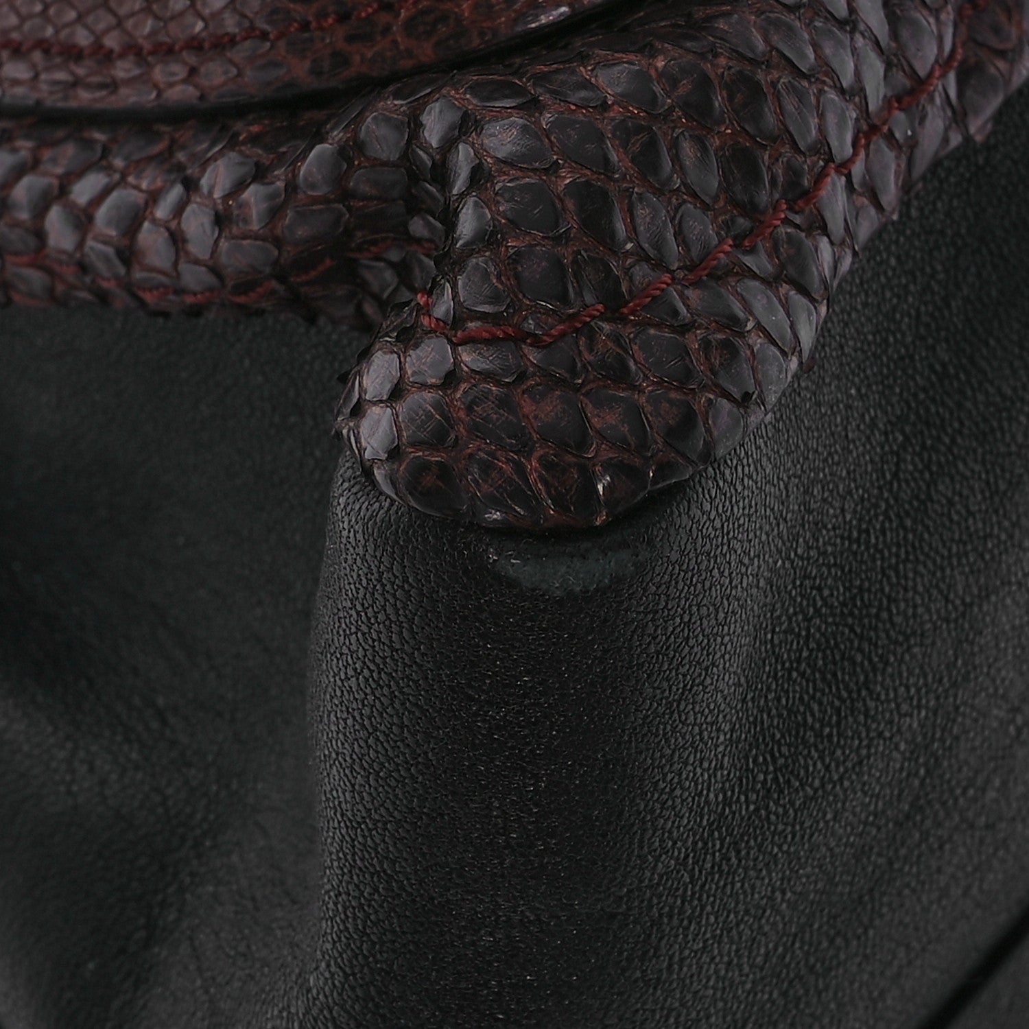 Chloe Snakeskin Medium Paraty Gold Berry 10 of 14