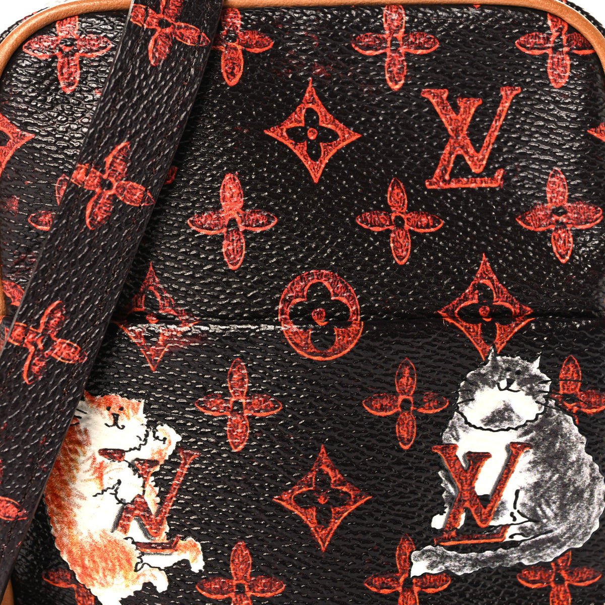 Louis Vuitton Catogram Small Paname Marron 7 of 9