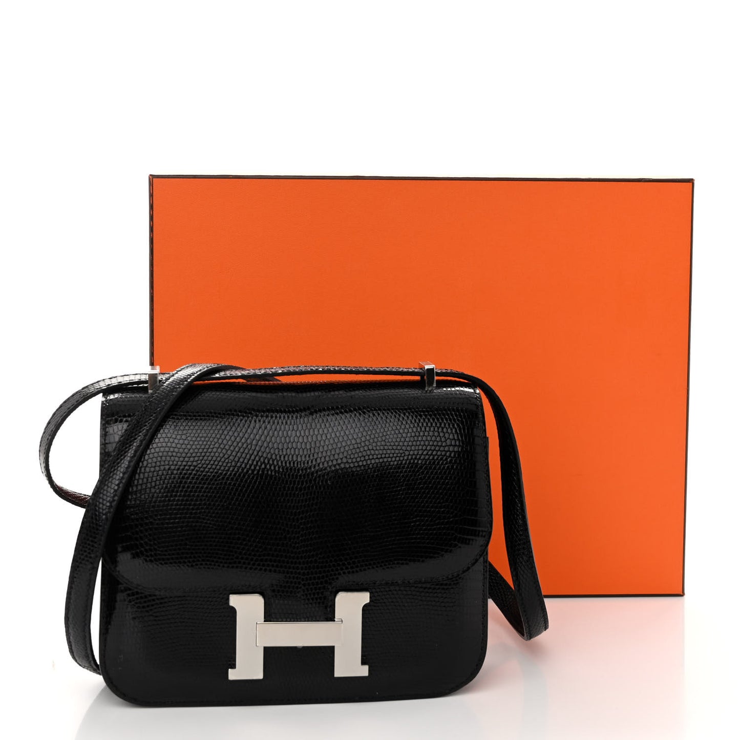 Lizard Constance 18 Black