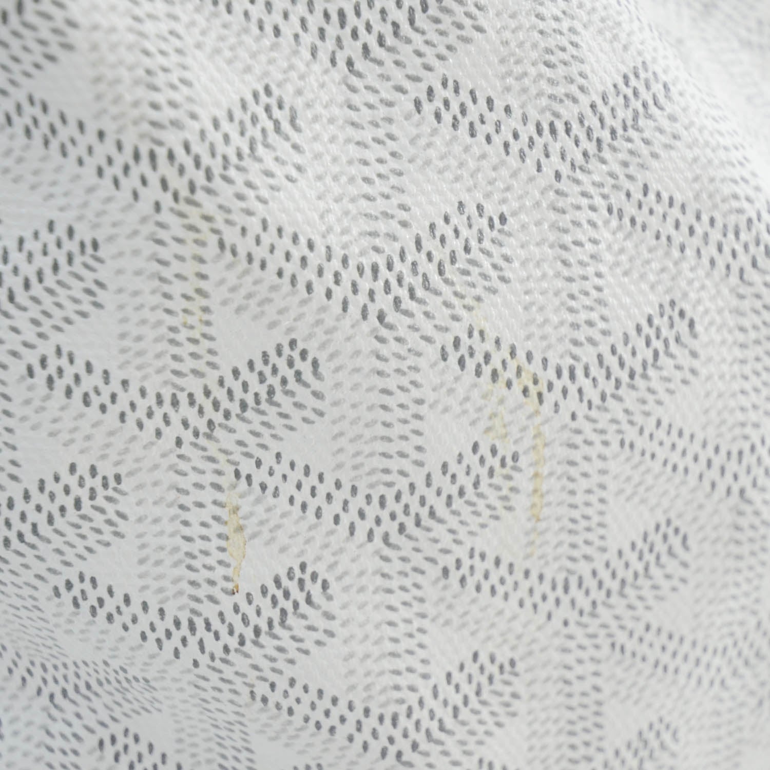 Goyard Goyardine Fidji Zip Hobo White 4 of 14