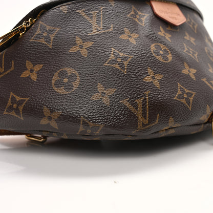 Louis Vuitton Monogram Bumbag 8 of 9