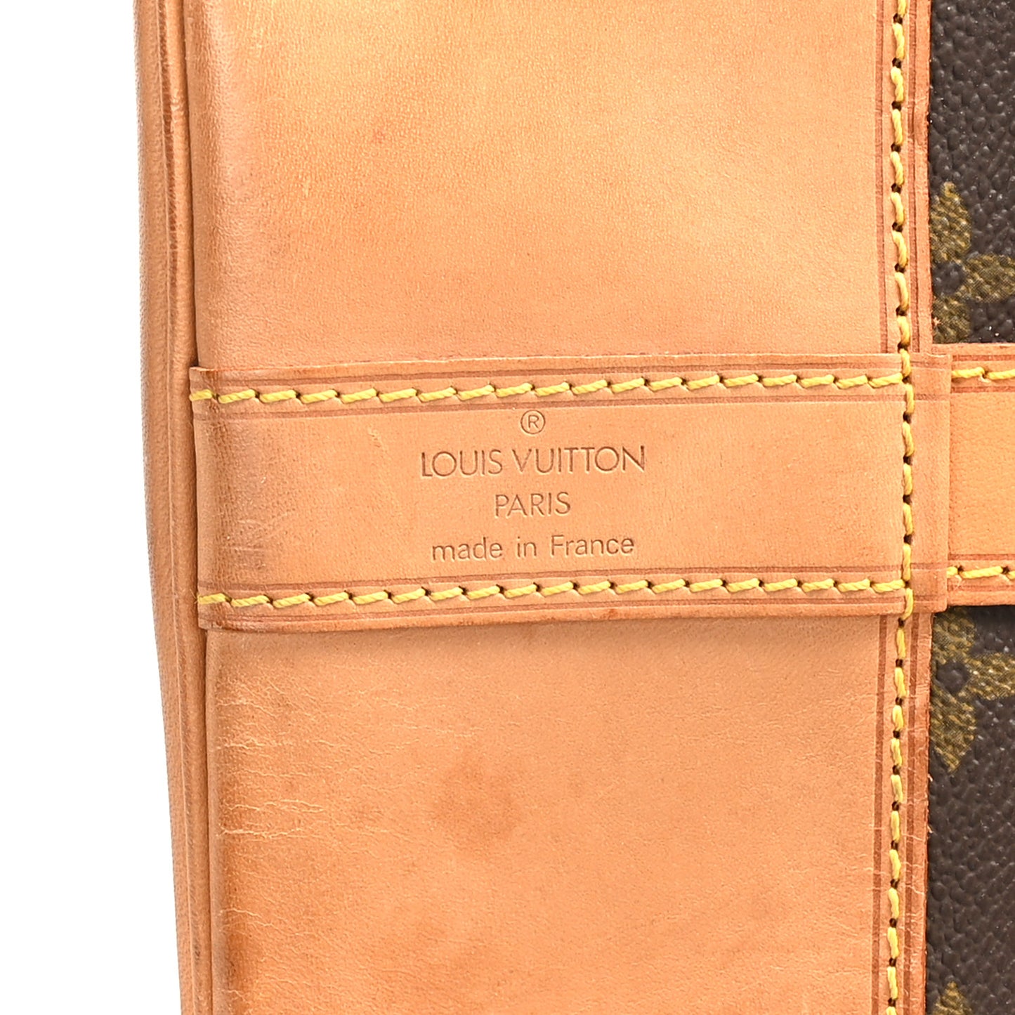 Monogram Randonnee GM Backpack