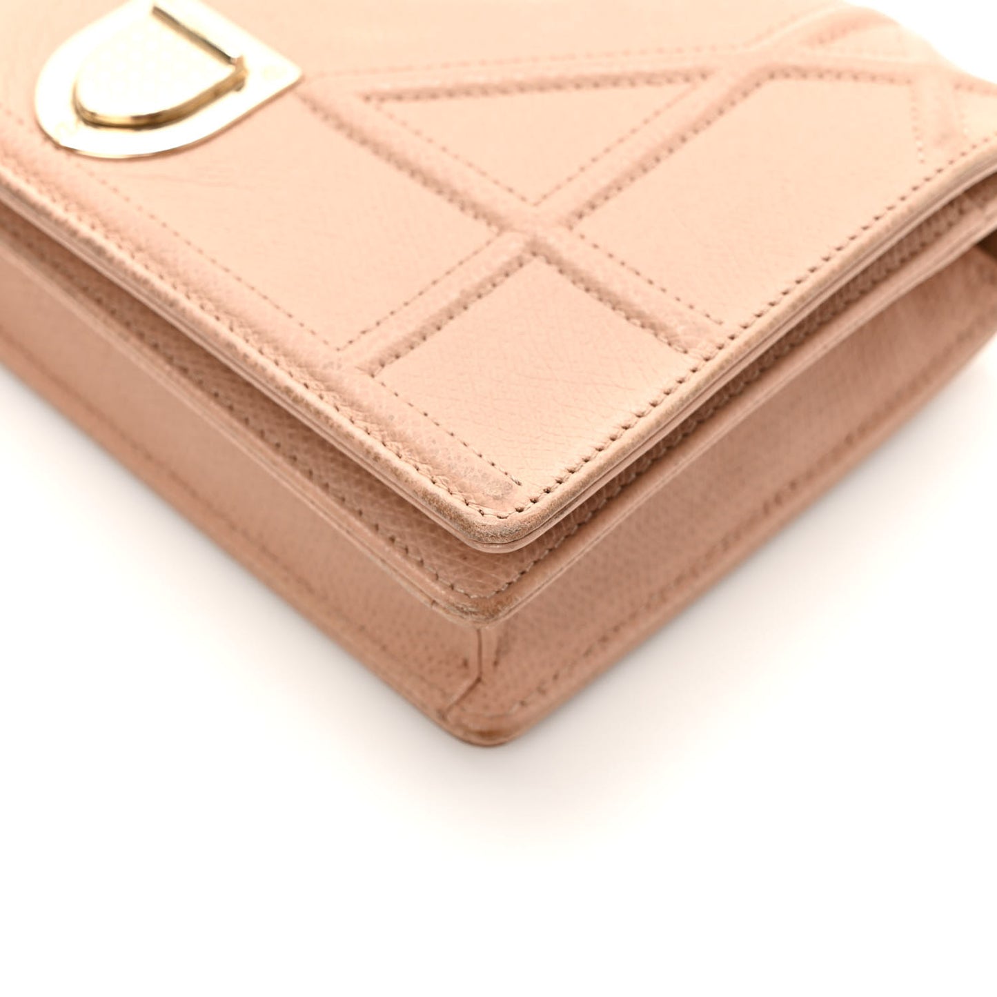 Grained Calfskin Diorama Wallet on Chain Pouch Fard