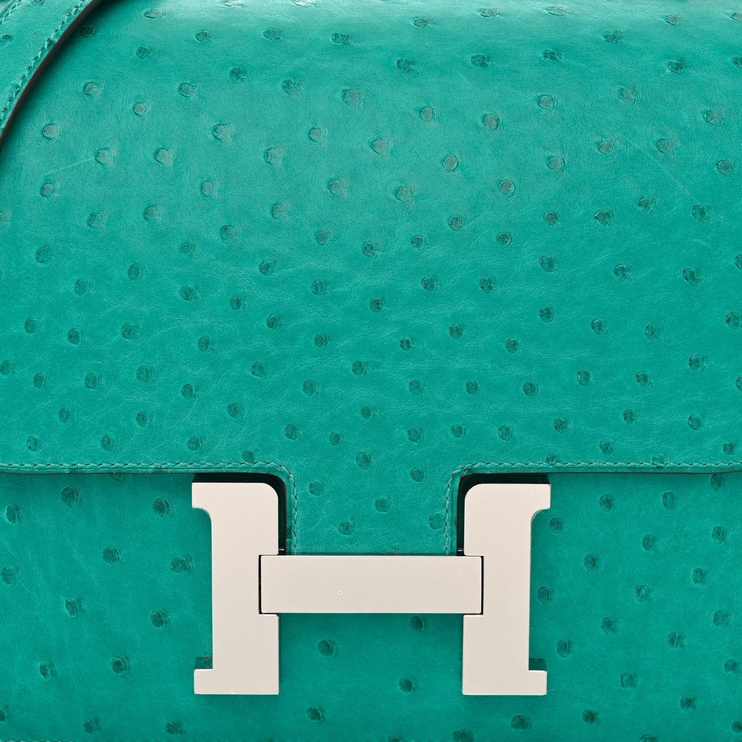 Ostrich Constance 24 Vert Verone