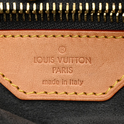 Louis Vuitton Denim Daily GM Blue Clair 6 of 21