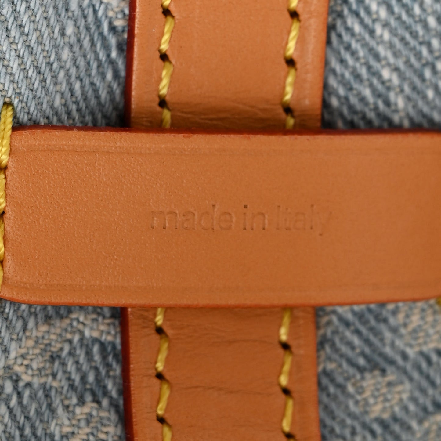 Monogram Denim CarryAll PM Sky Blue