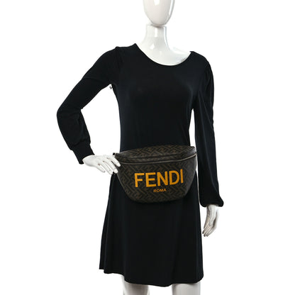 Fendi Shiny Glazed Fabric Vitello Cover FF 1974 Logo Belt Bag Black 2 of 11