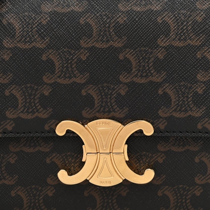 Celine Canvas Calfskin Nano Triomphe Tan 10 of 12