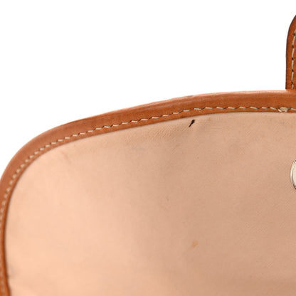 Christian Dior Monogram Romantique Trotter Flap Bag Brown 12 of 16