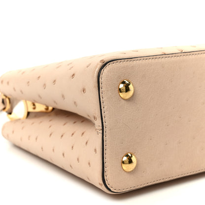 Louis Vuitton Ostrich Capucines PM Rose Champagne 9 of 10