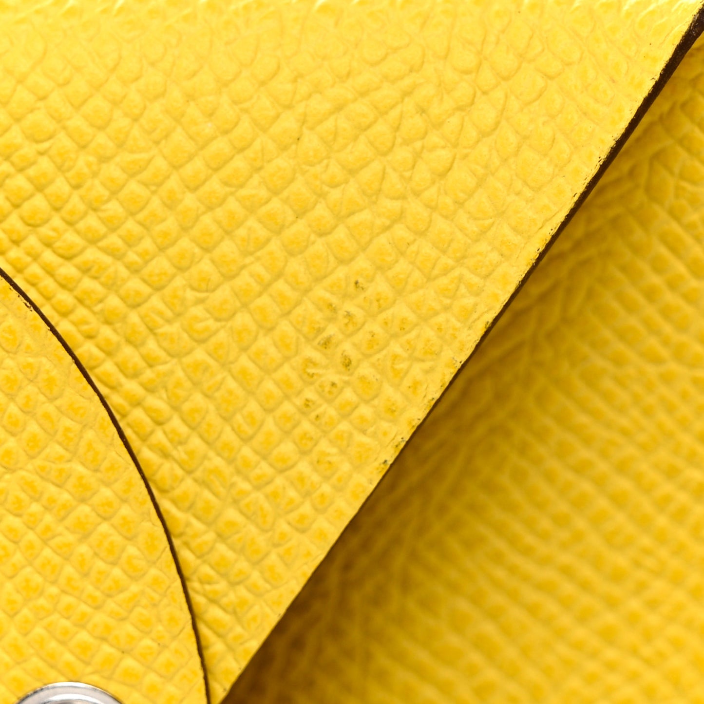 Epsom Bastia Coin Purse Jaune de Naples