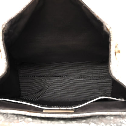Christian Dior Metallic Calfskin Small Stardust Backpack Silver 5 of 17