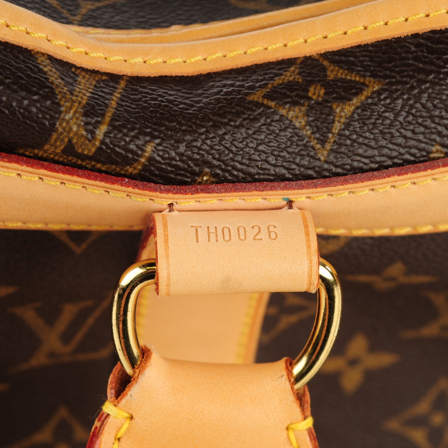 Louis Vuitton Monogram Sac Chien 50 Pet Carrier 9 of 10