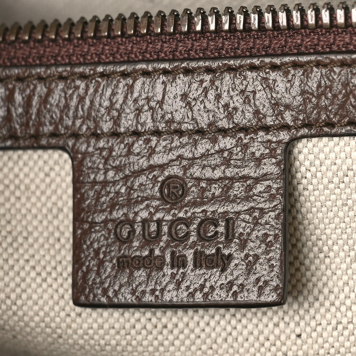 GG Supreme Monogram Medium Ophidia Day Backpack Brown