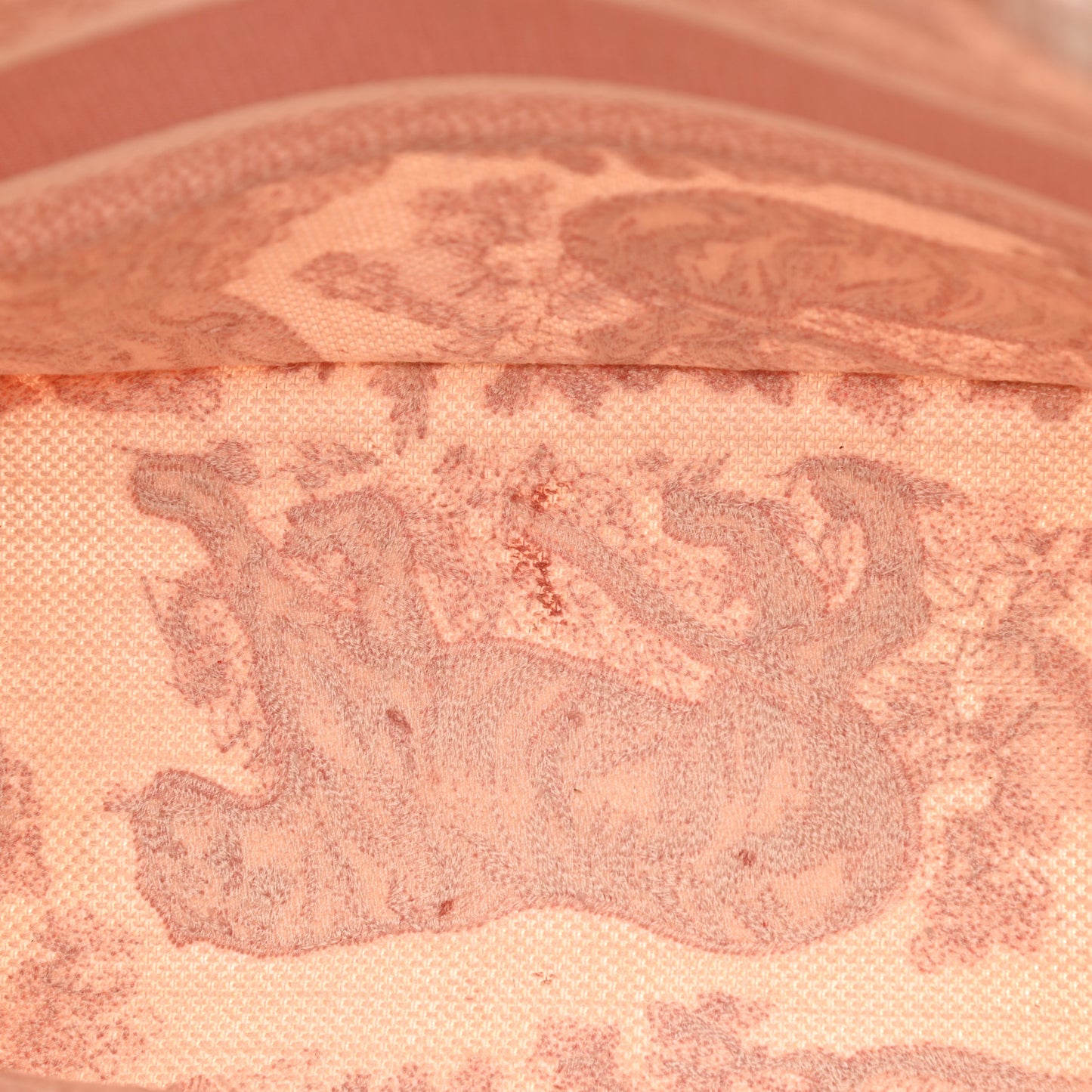 Canvas Toile De Jouy Embroidered Medium Book Tote Pink