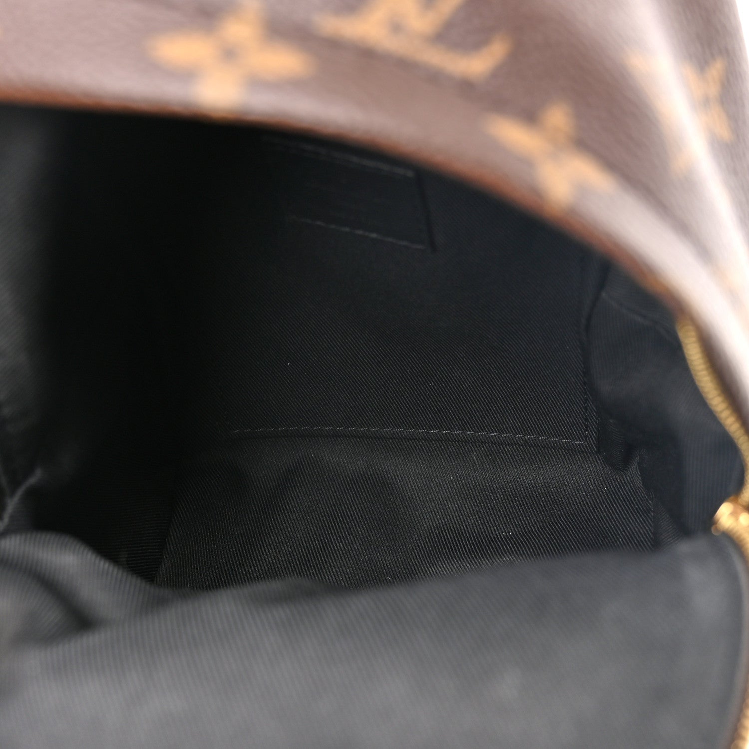 Louis Vuitton Monogram Palm Springs Backpack Mini 5 of 11