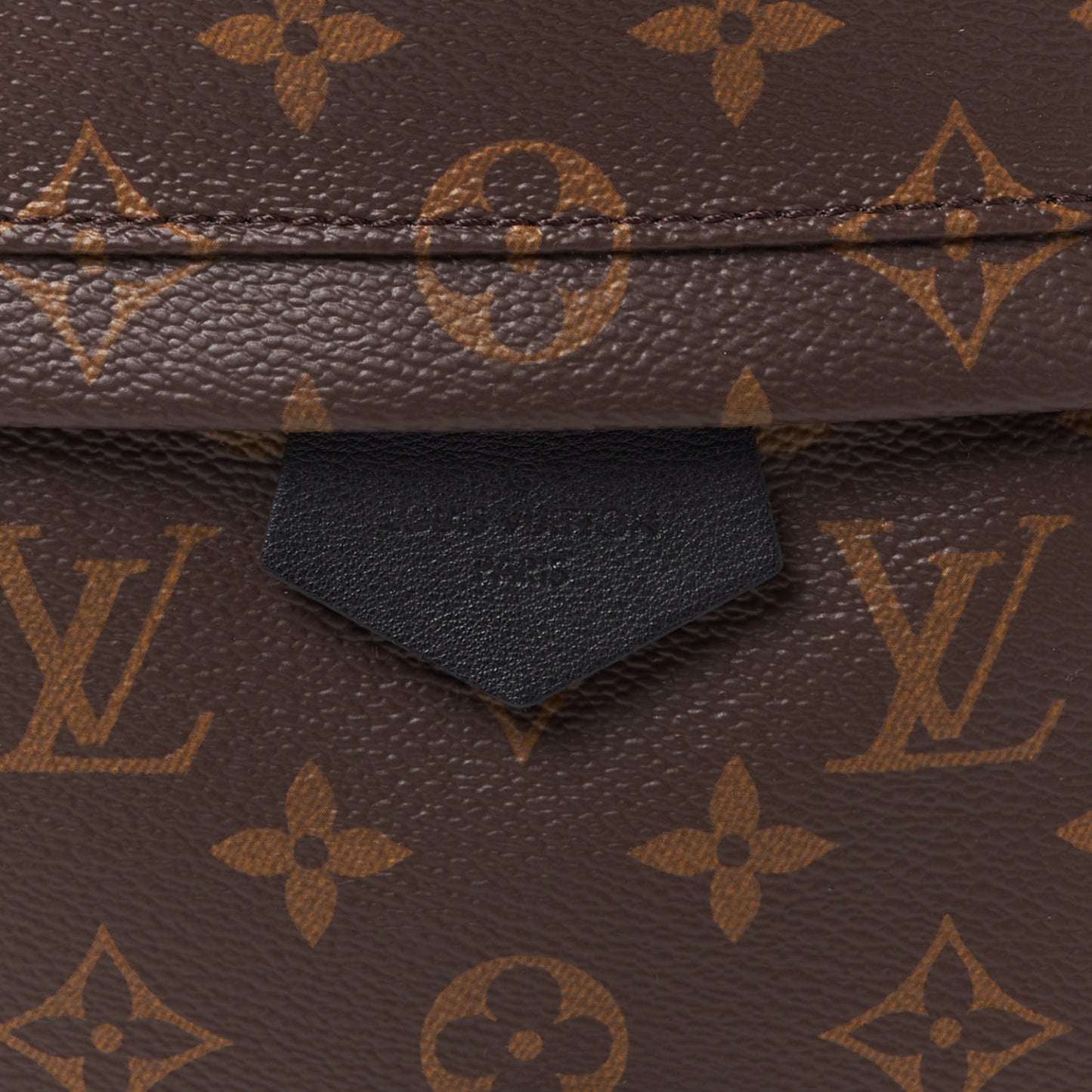 Monogram Palm Springs Backpack MM