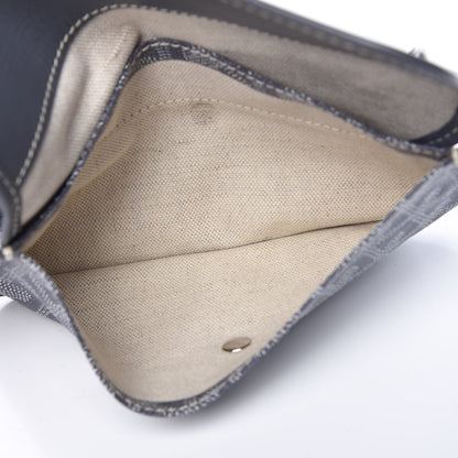 Goyard Goyardine Saint Louis PM Grey 20 of 25
