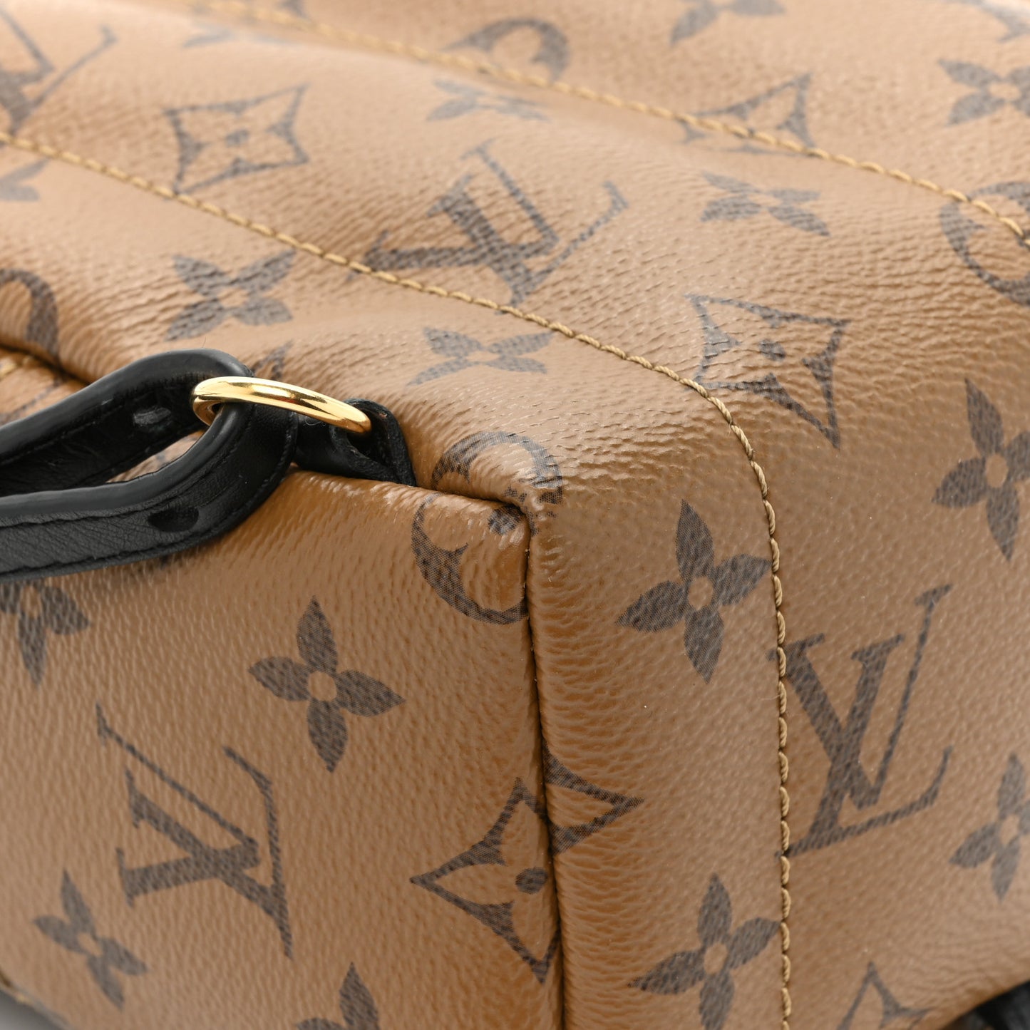 Reverse Monogram Palm Springs Backpack Mini