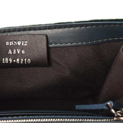 Fendi Velvet F is Wallet on Chain Amazzonia 8 of 10