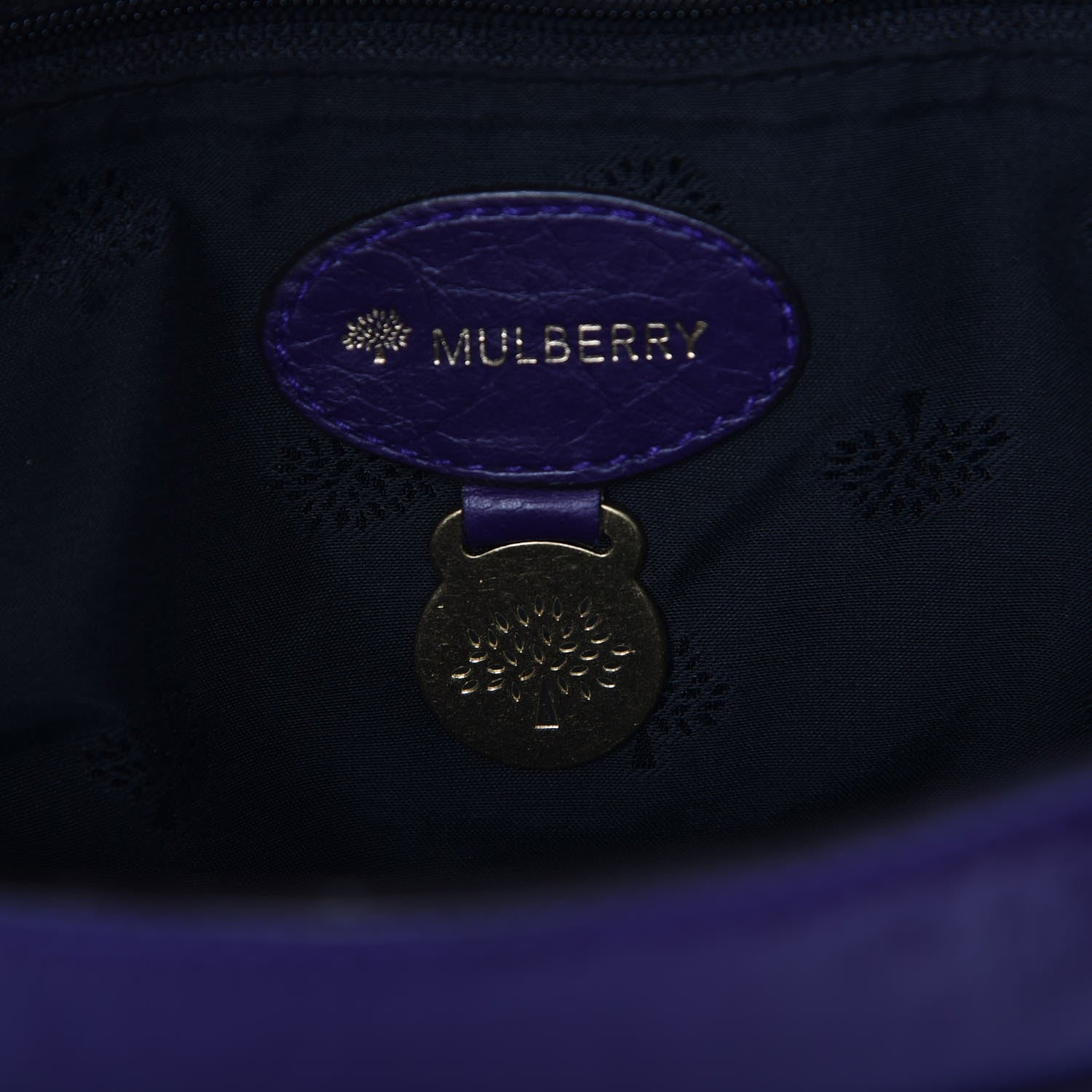 Mulberry Soft Buffalo Medium Alexa Grape 6 of 7