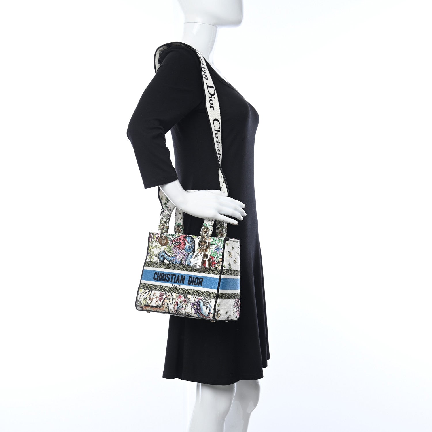 Christian Dior Canvas D-Constellation Embroidered Medium Lady D-Lite Latte Multicolor 2 of 9