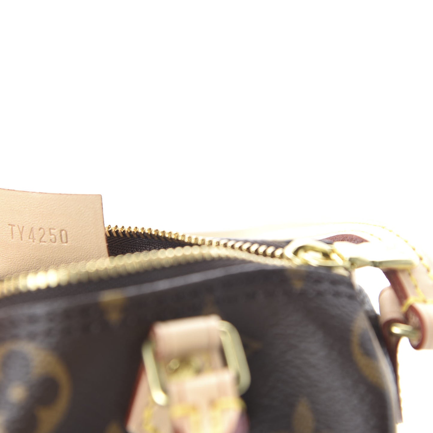 Monogram Nano Speedy